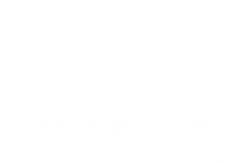 Municipalidad de Puente Alto